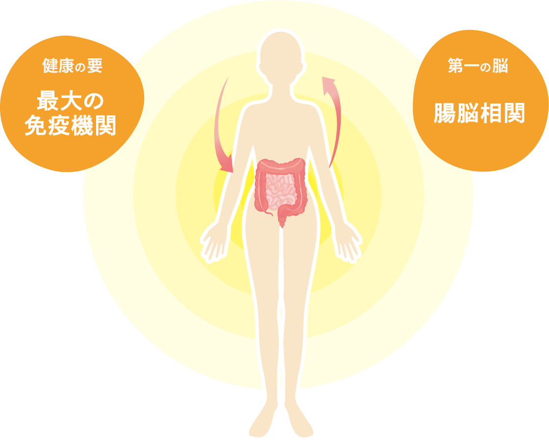 腸脳相関の図です。